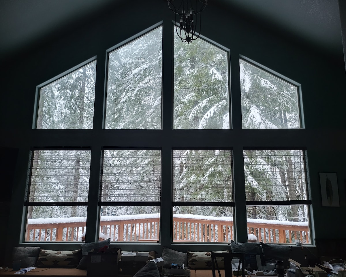 Lost Shelter Chalet windows looking into the trees